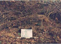 Jar 20010004 Thumbnail