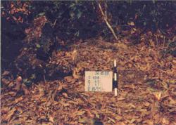 Jar 20020003 Thumbnail