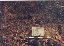 Jar 20020004 Thumbnail