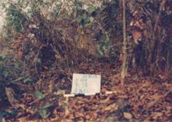 Jar 20020005 Thumbnail