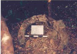 Jar 22010008 Thumbnail