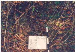 Jar 22010010 Thumbnail