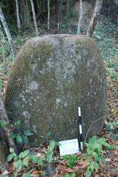 Jar 23010003 Thumbnail