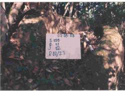 Jar 25010012 Thumbnail
