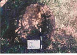 Jar 25010013 Thumbnail