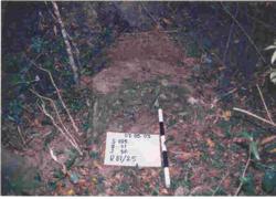 Jar 25010014 Thumbnail