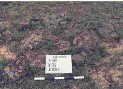 Jar 26030009 Thumbnail