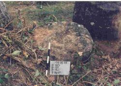 Disc 27020002 Thumbnail