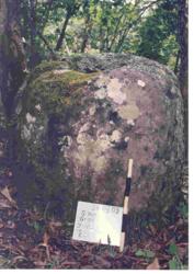 Jar 29010002 Thumbnail