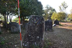 Jar 03010046 Thumbnail