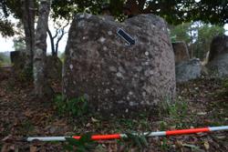 Jar 03010053 Thumbnail