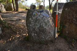 Jar 03010056 Thumbnail