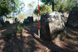 Jar 03010066 Thumbnail