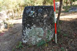 Jar 03010068 Thumbnail