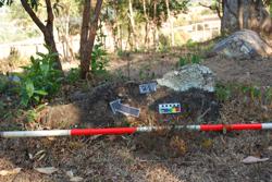 Jar 03010071 Thumbnail