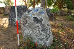 Jar 03010072 Thumbnail