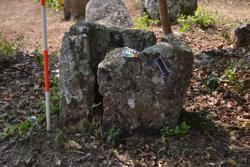 Jar 03010095 Thumbnail