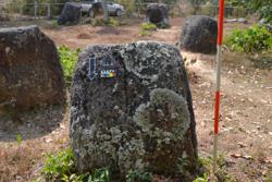 Jar 03010099 Thumbnail