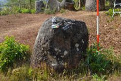 Jar 03010109 Thumbnail