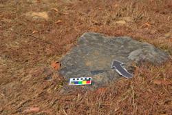 Jar 03010112 Thumbnail