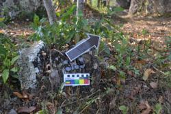 Jar 03010114 Thumbnail