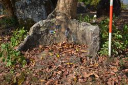 Jar 03010115 Thumbnail