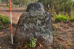 Jar 03010130 Thumbnail