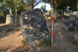 Jar 03010132 Thumbnail