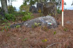 Jar 03010147 Thumbnail