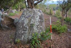Jar 03010148 Thumbnail