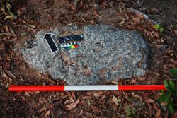 Jar 03010156 Thumbnail