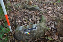 Jar 03030008 Thumbnail