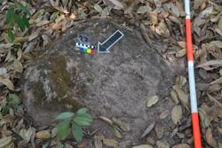 Jar 03030023 Thumbnail
