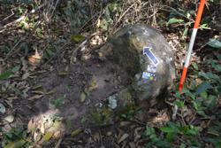 Jar 03030025 Thumbnail