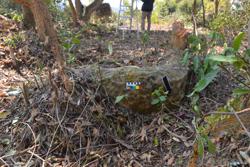 Jar 03050015 Thumbnail