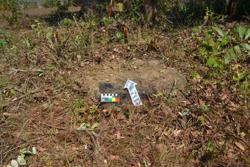 Jar 03050022 Thumbnail