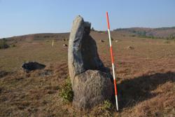 Jar 03070002 Thumbnail