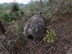 Jar 31020001 Thumbnail