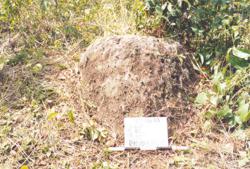 Jar 32010005 Thumbnail