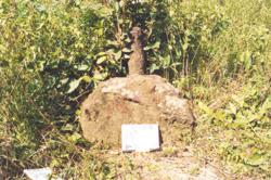 Jar 32020003 Thumbnail