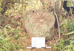 Jar 32020011 Thumbnail
