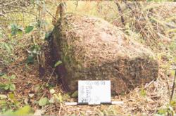 Jar 32020012 Thumbnail