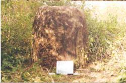 Jar 32020015 Thumbnail