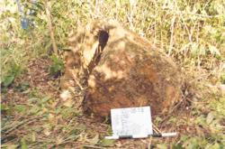 Jar 32020016 Thumbnail