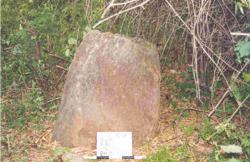 Jar 32020022 Thumbnail