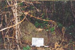 Jar 32020024 Thumbnail