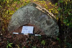 Jar 37010001 Thumbnail