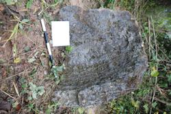Jar 39020004 Thumbnail