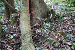 Jar 42010021 Thumbnail