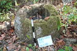 Jar 43010003 Thumbnail